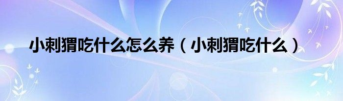 小刺猬吃什么呢（小刺猬吃什么东西?）