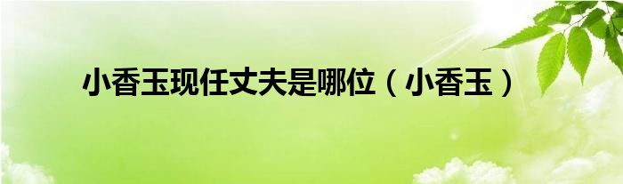 小香玉现任丈夫比小香玉小几岁（小香玉现任丈夫个人资料）
