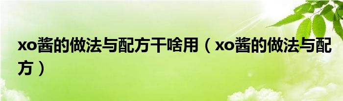 车仔面的xo酱是什么酱（xo酱是什么酱怎么吃）