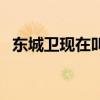 东城卫现在叫什么（东城卫演过的电视剧）