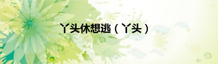 纯情丫头休想逃小说全文免费阅读无广告（纯情丫头休想逃丫头怀孕了）