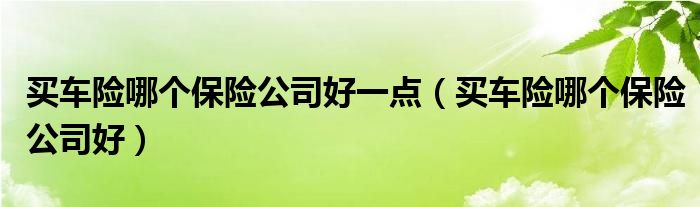 买车险哪家保险公司更好（购买车险哪个保险公司好）