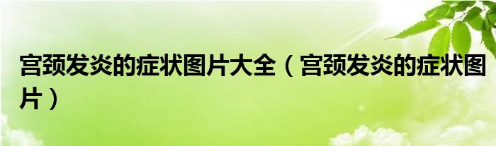 宫颈炎症的图片的治疗方法（宫颈发炎是怎么引起的）