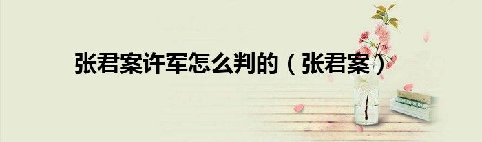 张君案开庭视频（张君案的判决结果）