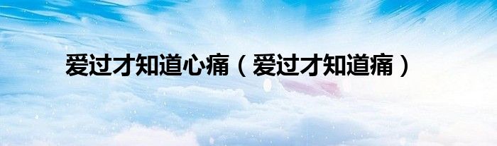 爱过才知心痛小说（爱过才知道歌词）
