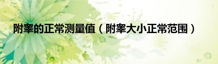 附睾大小值（附睾测量）