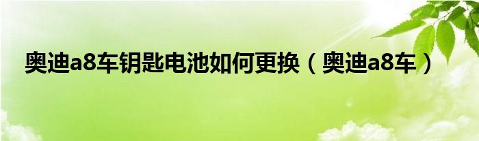 奥迪a8车钥匙怎么换电池（奥迪a8l钥匙电池怎么换视频）