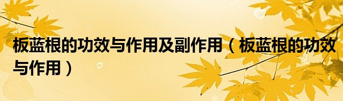 板蓝根作用与疗效（板蓝根的功效与作用药品通）