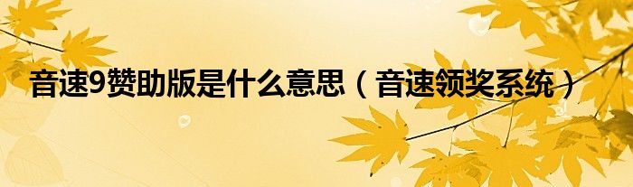 音速9team和音速9原版的区别（音速9赞助与原版有什么区别）