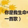 你是我生命中的一首歌mv（你是我生命中的一首歌）