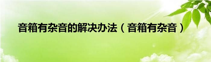 音箱有杂音怎么处理（音箱声音有杂音怎么修）