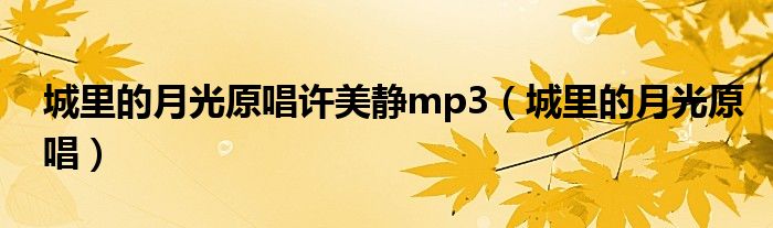 城里的月光许美静原唱歌词（城里的月光原唱许美静伴奏）