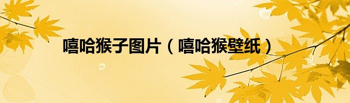 嘻哈猴博客（嘻哈猴表情）