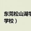 东莞松山湖学校是公立还是私立（东莞松山湖学校）