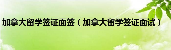 加拿大留学签证网申签证率（加拿大留学硕士面试）