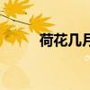 荷花几月开始枯萎（荷花几月开）