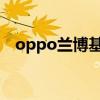 oppo兰博基尼限量版（兰博基尼限量版）