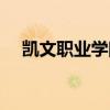 凯文职业学院是公办吗（凯文职业学院）