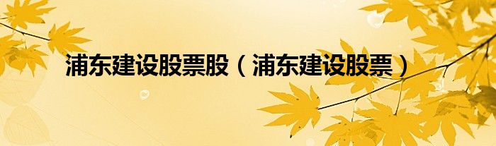 股票浦东建设能走多远（浦东建设(600284)股）