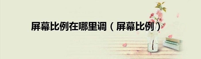屏幕显示比例快捷键（屏幕显示比例在哪里调整）
