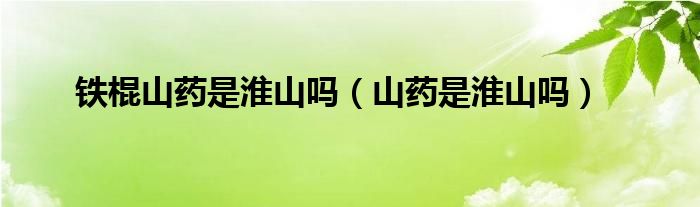 铁棍山药是怀山药吗（铁棍山药是牛蒡吗）