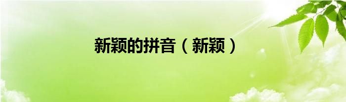 款式新颖的拼音（新颖的正确读音）