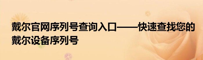 戴尔笔记本电脑键盘没反应怎么办（戴尔笔记本序列号查询官网）