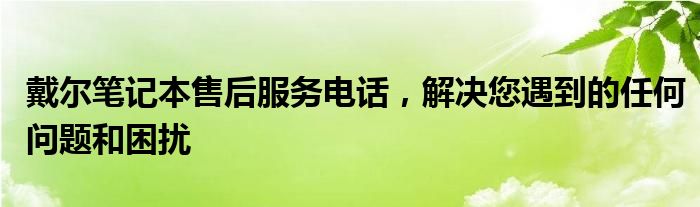 大庆戴尔售后服务电话（戴尔厦门售后服务电话）